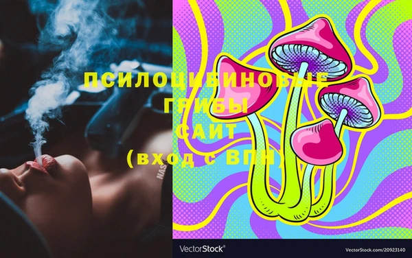дурь Алексин